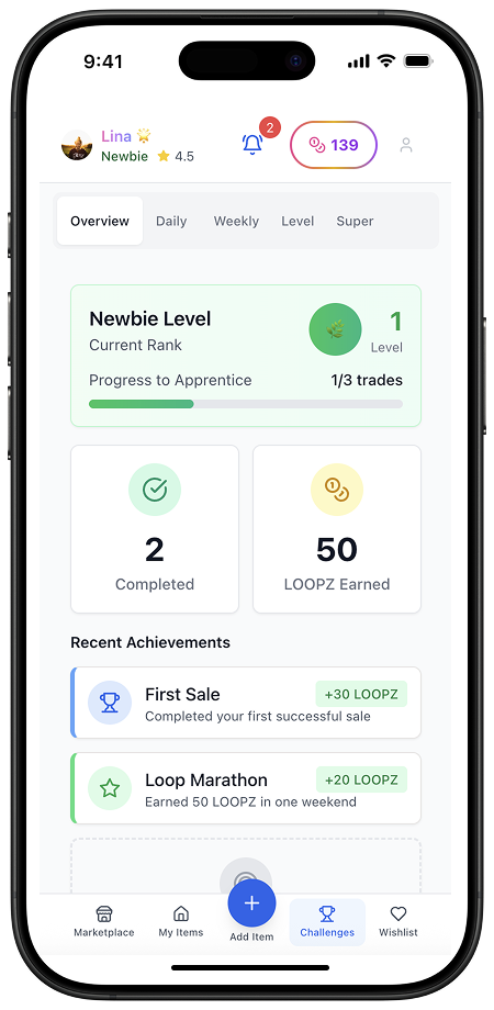 Challenges and Achievements